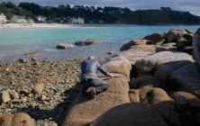 Mike Schertzer, Plage de Tresmeur à Trébeurden